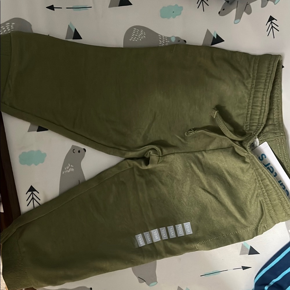 Carter's Green Sweatpants Relaxed Fit Joggers